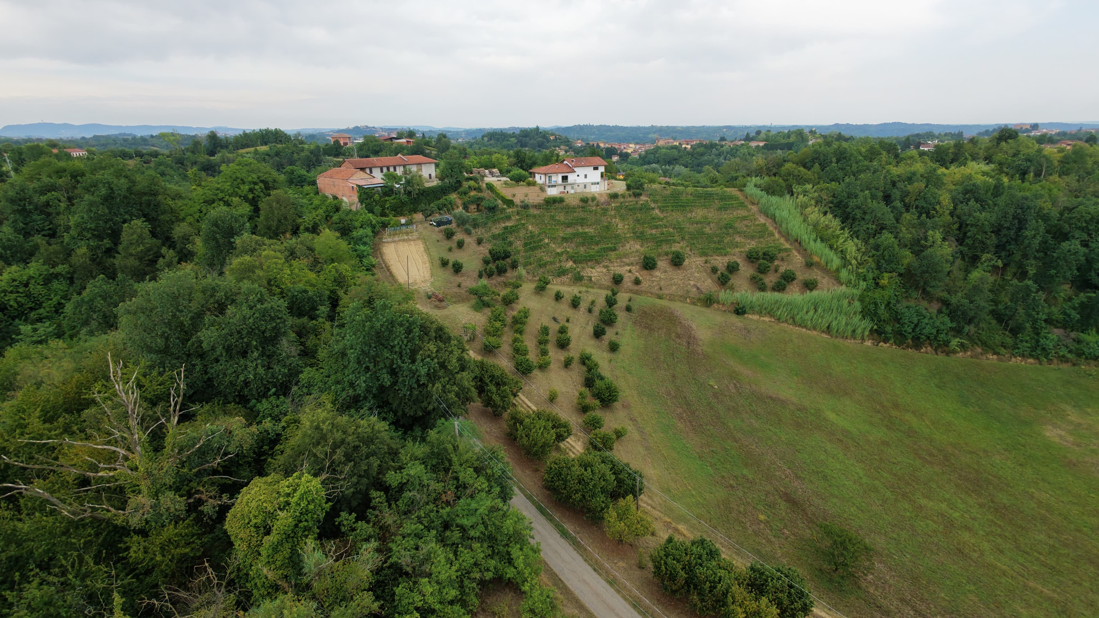 Cascina e vigneto tra le colline